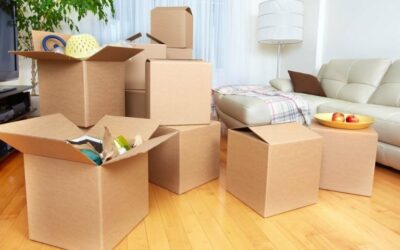 Places To Get Free Moving Boxes